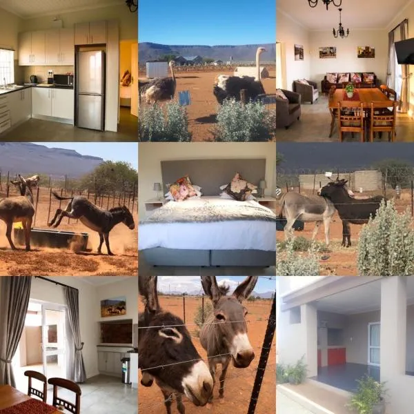 Donkieshoek Accommodation & Campsite, Calvinia，位于Calvinia的酒店