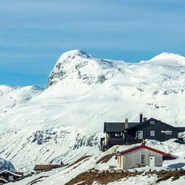 Storestølen Fjellhotell，位于Hovet的酒店