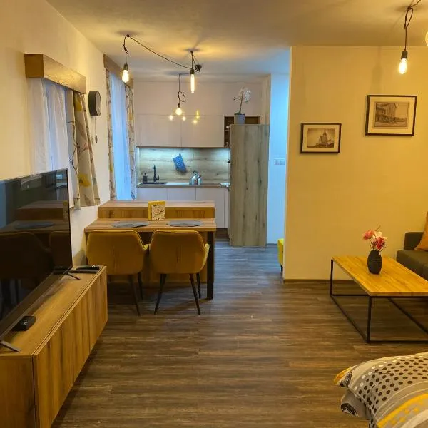 Apartmán Champion II，位于比尔森的酒店