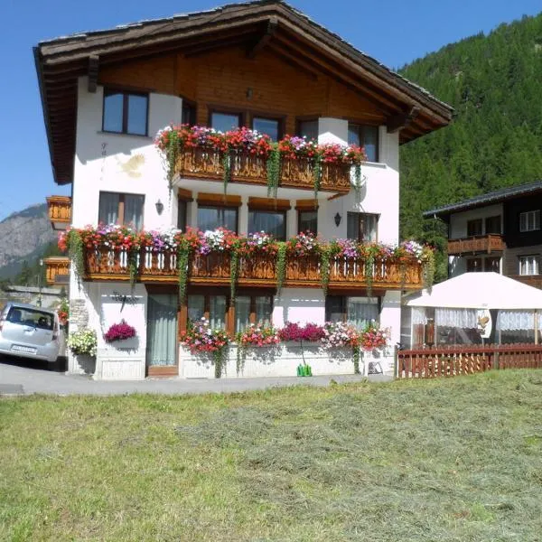 Haus Falke，位于萨斯格伦德的酒店