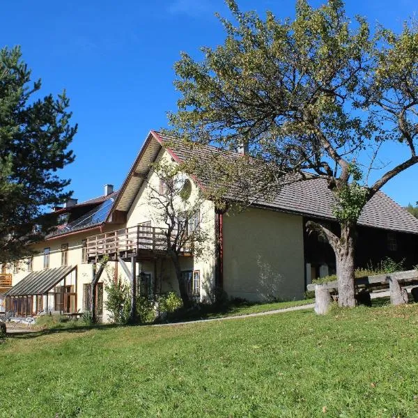 Hirmhof，位于Oberndorf an der Melk的酒店