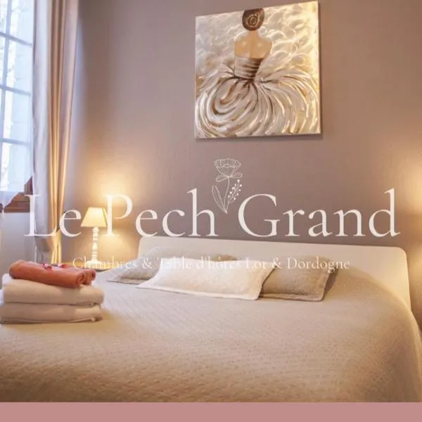 Chambres & Tables d'hôtes Le Pech Grand，位于圣索泽的酒店