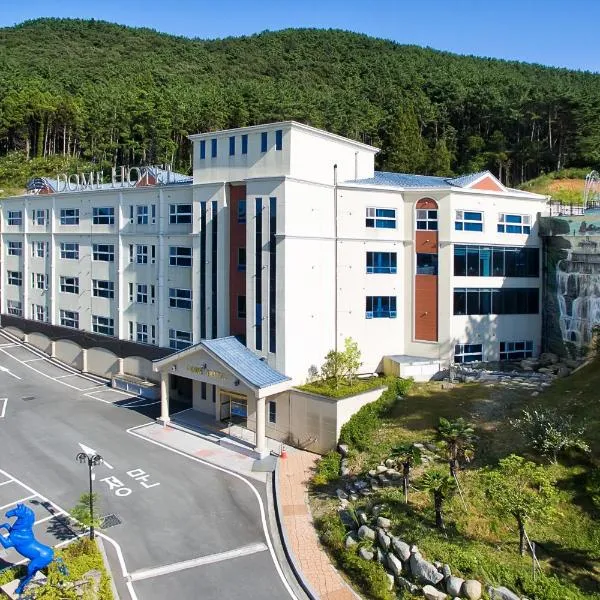 巨济圆顶酒店，位于Taedong的酒店