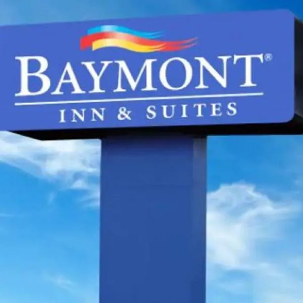 Baymont by Wyndham Youngstown，位于米纳勒尔里奇的酒店