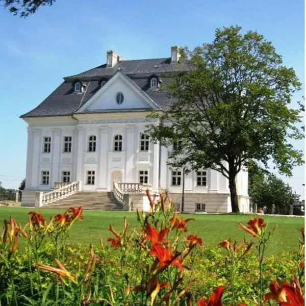 玻璃尼亚宫酒店，位于Strumień的酒店
