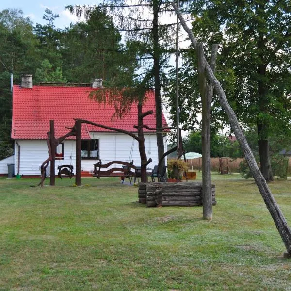 Agroturystyka "Leśne Zacisze na Podlasiu"，位于Wisznice的酒店