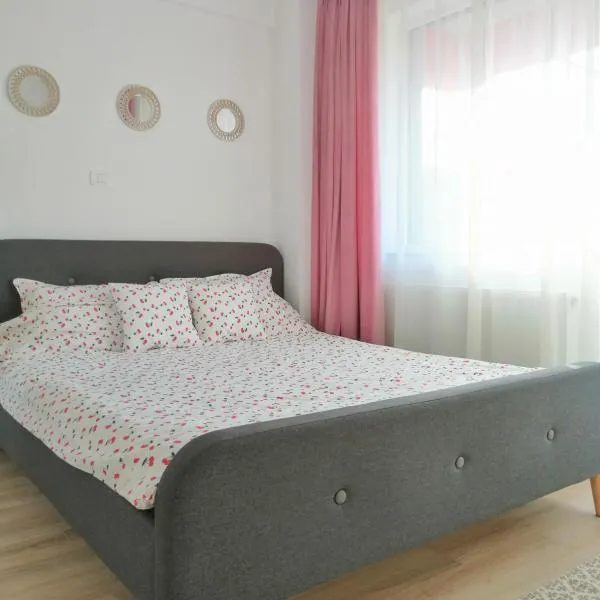 Cozy Apartment Bujorilor Suceava，位于苏恰瓦的酒店