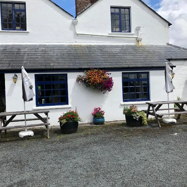 Blue Lion Inn，位于Lewdown的酒店