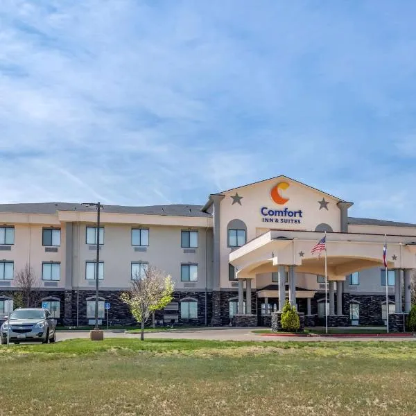 Comfort Inn & Suites，位于拉伯克的酒店