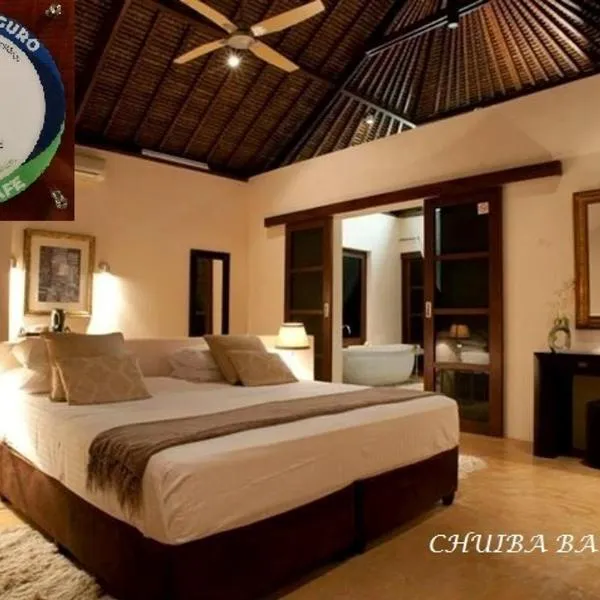 Chuiba Bay lodge，位于奔巴岛的酒店