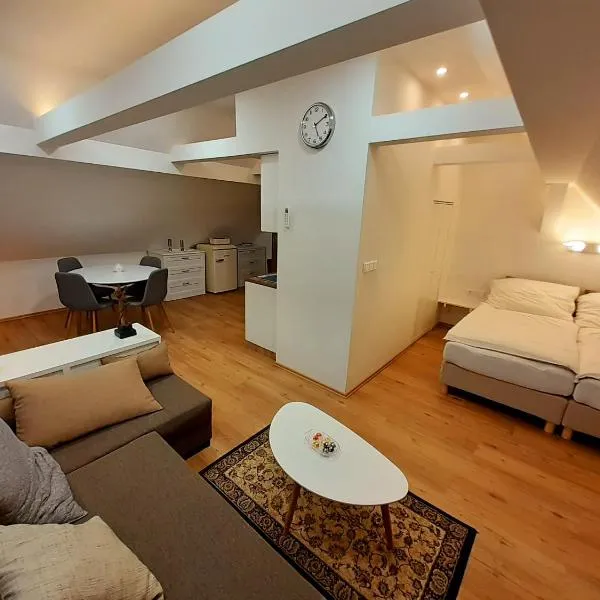 Apartmány v centru - Lázně Kynžvart，位于金日瓦特矿泉镇的酒店