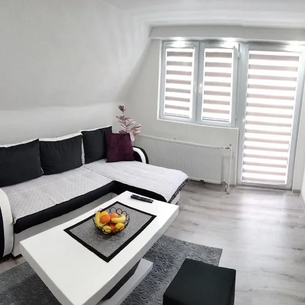 Apartmani Zlatarski DAR，位于新瓦罗什的酒店