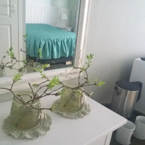 Nurmbergi Maja，位于维尔扬迪的酒店