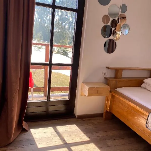 Pensiunea Bradet - Padis，位于帕迪斯的酒店