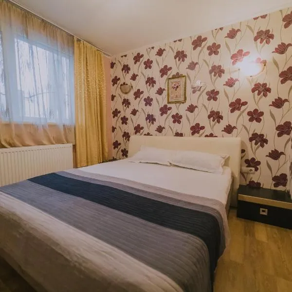 Hostel Denisa，位于Tisău的酒店