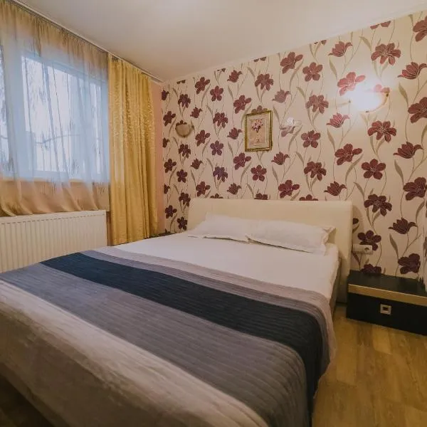 Hostel Denisa，位于布泽乌的酒店
