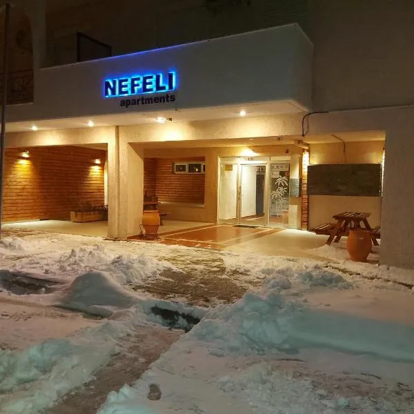 Nefeli Apartments Ορεστιάδα，位于奥瑞斯蒂亚斯的酒店