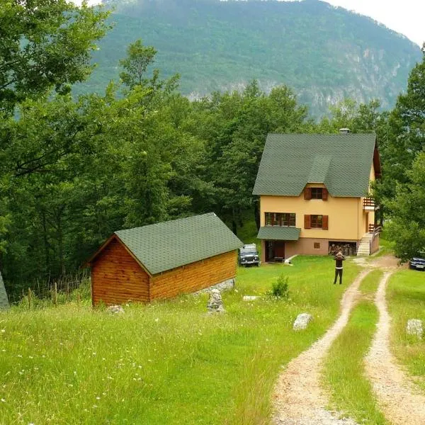 Guest House Tara Canyon，位于Gornja Dobrilovina的酒店