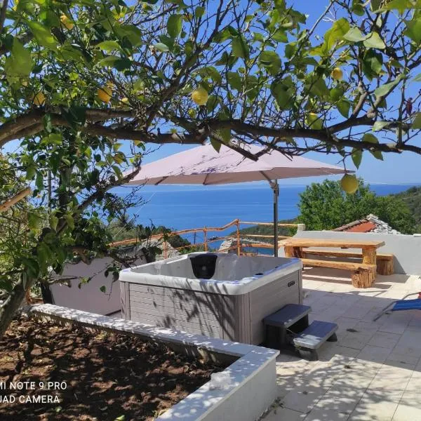 Rest house with jacuzzi Mili，位于博格莫耶的酒店