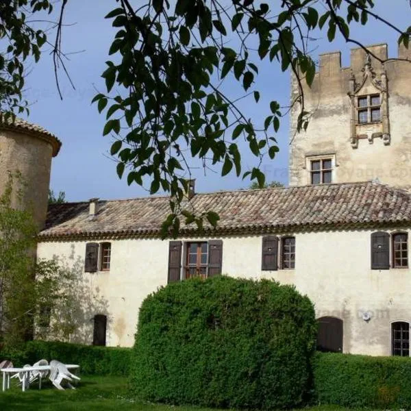 Concièrgerie du Château d'Allemagne En Provence，位于普罗旺斯地区阿莱马尼的酒店