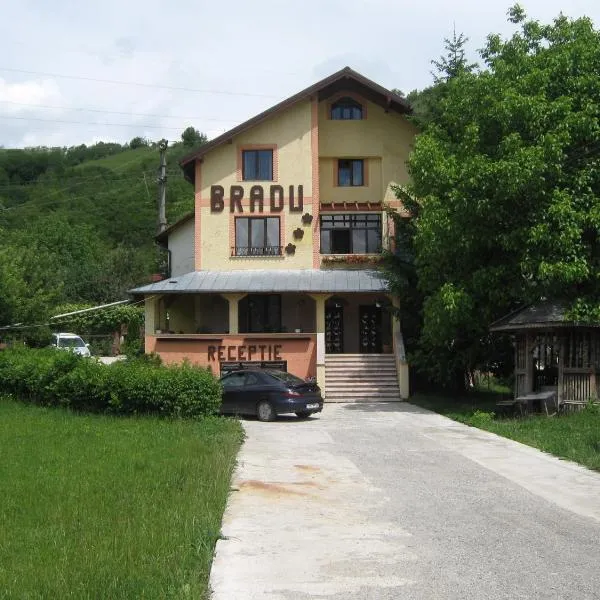 Pensiunea BRADU，位于Vădurele的酒店