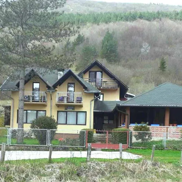 Smještaj na selu Porodica Gvozdenac，位于Šipovo的酒店