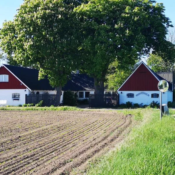 Knappagården，位于Kåseberga的酒店