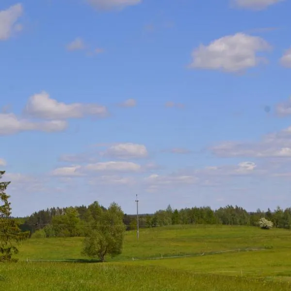 Domek przy stajni，位于Łękuk Mały的酒店