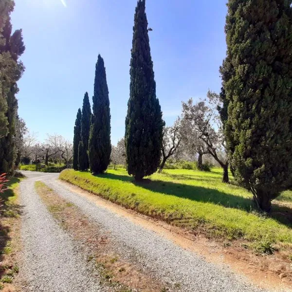Il Palagio，位于芬奇的酒店
