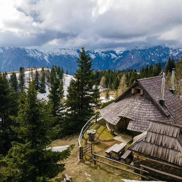 Alpine Chalet Velika Planina - Irenca - I Feel Alps，位于Stahovica的酒店