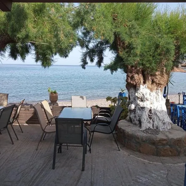 Beach Front Kato Zakros，位于加藤扎克罗斯的酒店