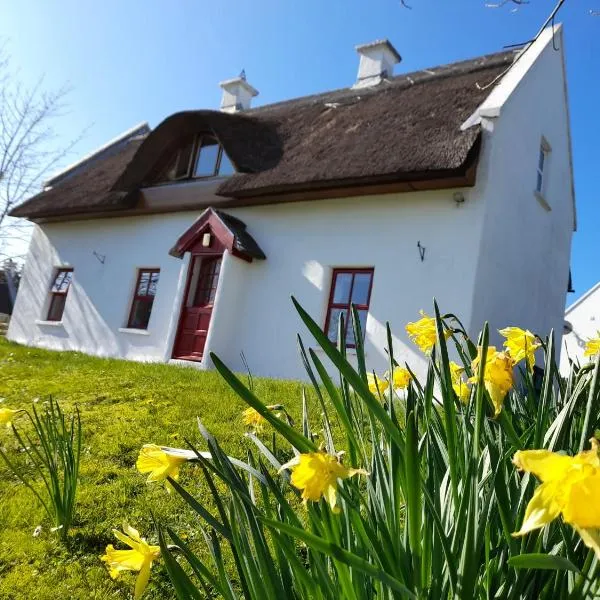 Donegal Thatched Cottage，位于Cruit的酒店