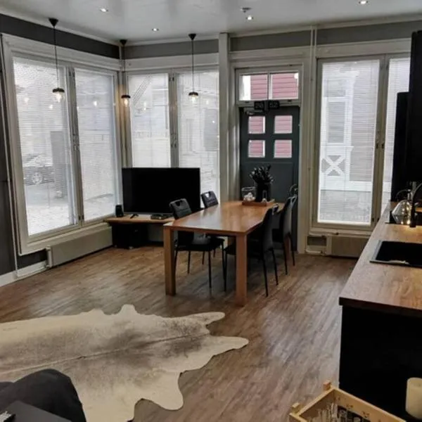 Luxury apartment In the middle Of old Rauma，位于Eurajoki的酒店