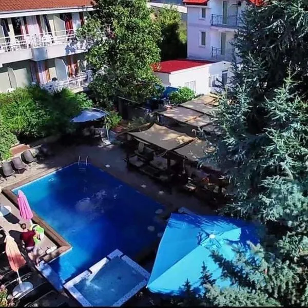 Villa Dionis，位于奥赫里德的酒店