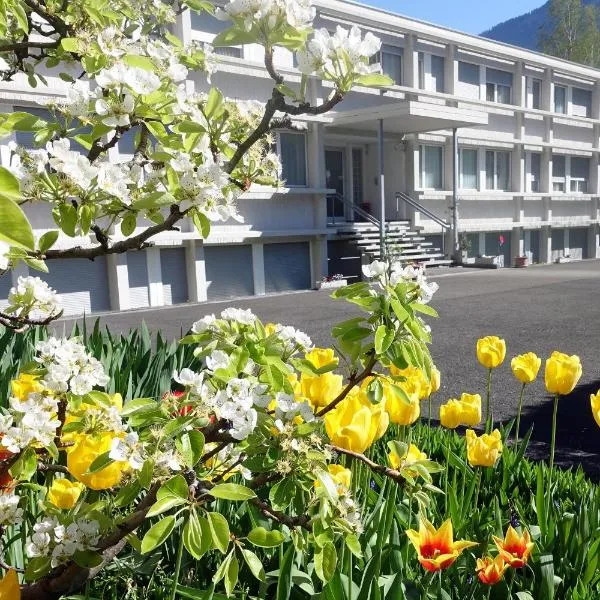 佛朗西斯凯恩酒店，位于蒙泰的酒店