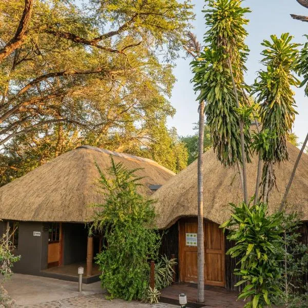 布什里弗尔山林小屋，位于Makalali Game Reserve的酒店