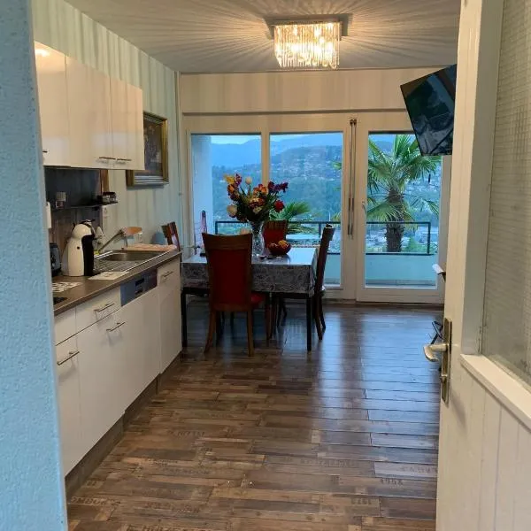 Appartement Belle Vue，位于卢加诺的酒店