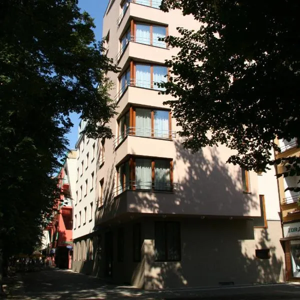 拉真丝凯公园酒店，位于Velký Osek的酒店