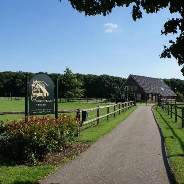 Recreatieoord Hippique，位于Westendorp的酒店