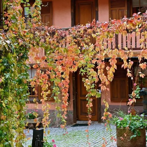 朗格酒店，位于Soultzbach-les-Bains的酒店
