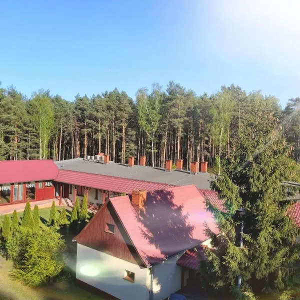 Drzewosfera，位于Wilcze的酒店