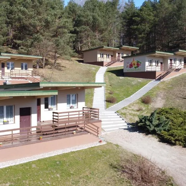 wilawianki - domki nad jeziorem Łubowo，位于Długie的酒店