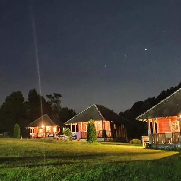 Etno village Gostoljublje，位于Kosjerić的酒店