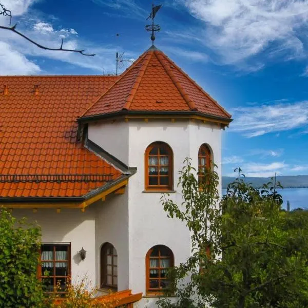 Ferienhaus Bodensee Seeblick，位于盖恩霍芬的酒店