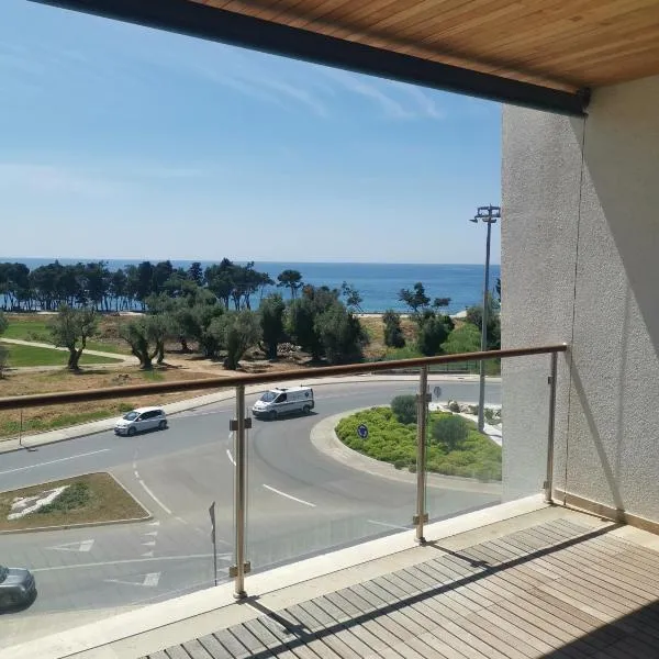 New Luxury Apartments BaR，位于巴尔的酒店