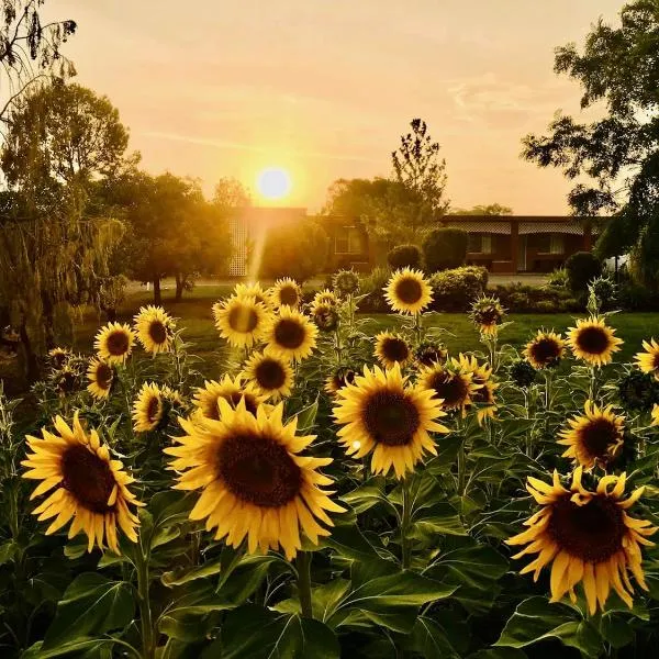 Quirindi Sunflower Motor Inn，位于Quirindi的酒店