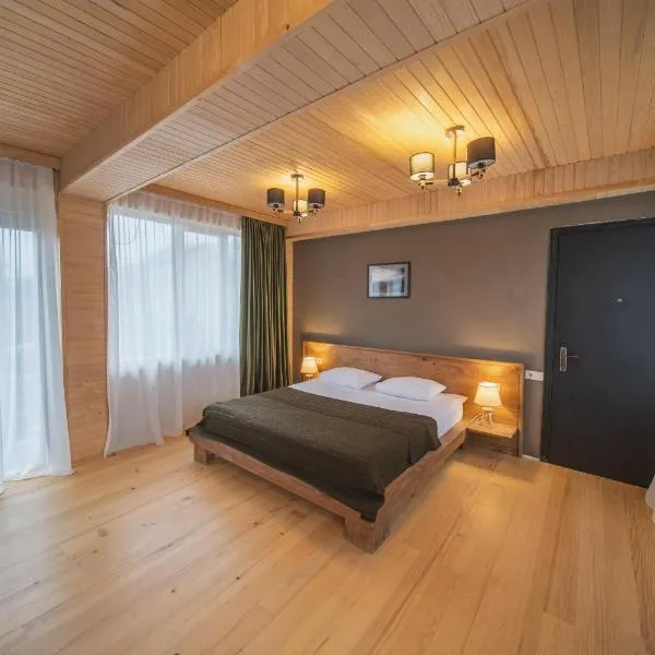 Hotel Old House Mestia，位于梅斯蒂亚的酒店