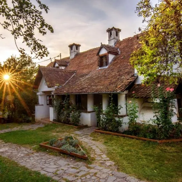 Count Kálnoky's Transylvanian Guesthouses，位于Aita Medie的酒店