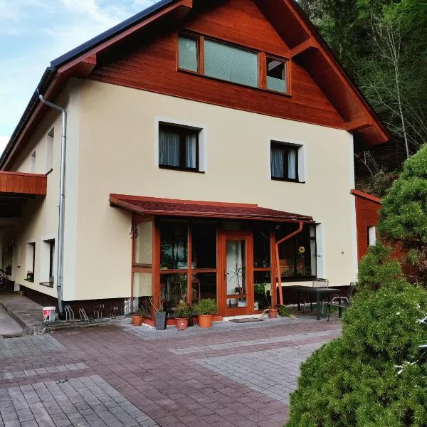 B & B Seeblick Krippenstein，位于上特劳恩的酒店