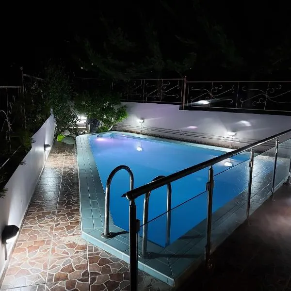 Violet Studio με πισίνα，位于沃洛斯的酒店